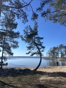 achtergrond sandviken